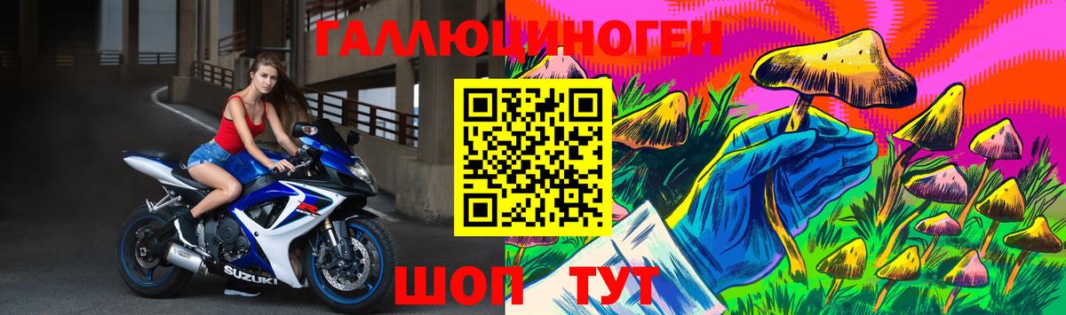 Городец  Галлюциногенные грибы MAGIC MUSHROOMS  Псилоцибиновые грибы MAGIC MUSHROOMS  Вход с VPN 